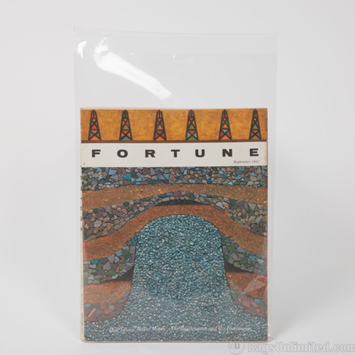 Mini Poster Poly Bags